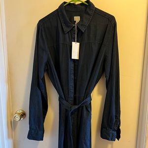Plus-size long sleeve denim shirt dress.